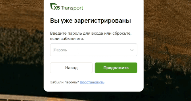 Экран «Вы уже зарегистрированы»: поле «Пароль», кнопки «Назад» и «Продолжить», ссылка «Восстановить» в строке «Забыли пароль?»